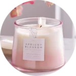 Velas en cera de soya